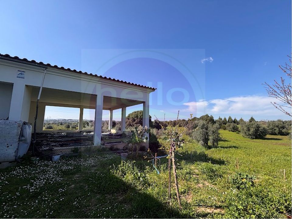 Villa i Tomar, Santarem - foto 3
