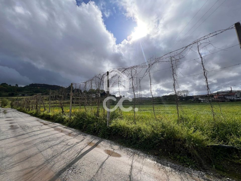 Helårsgrund i Urgezes, Braga - foto 3