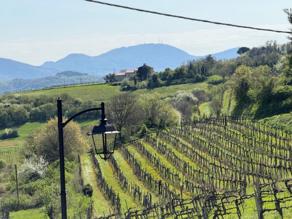 Villa i Villaga, Vicenza - foto 4
