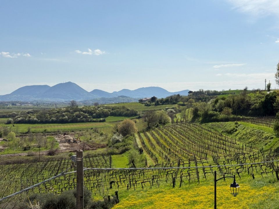 Landejendom i Villaga, Vicenza - foto 3
