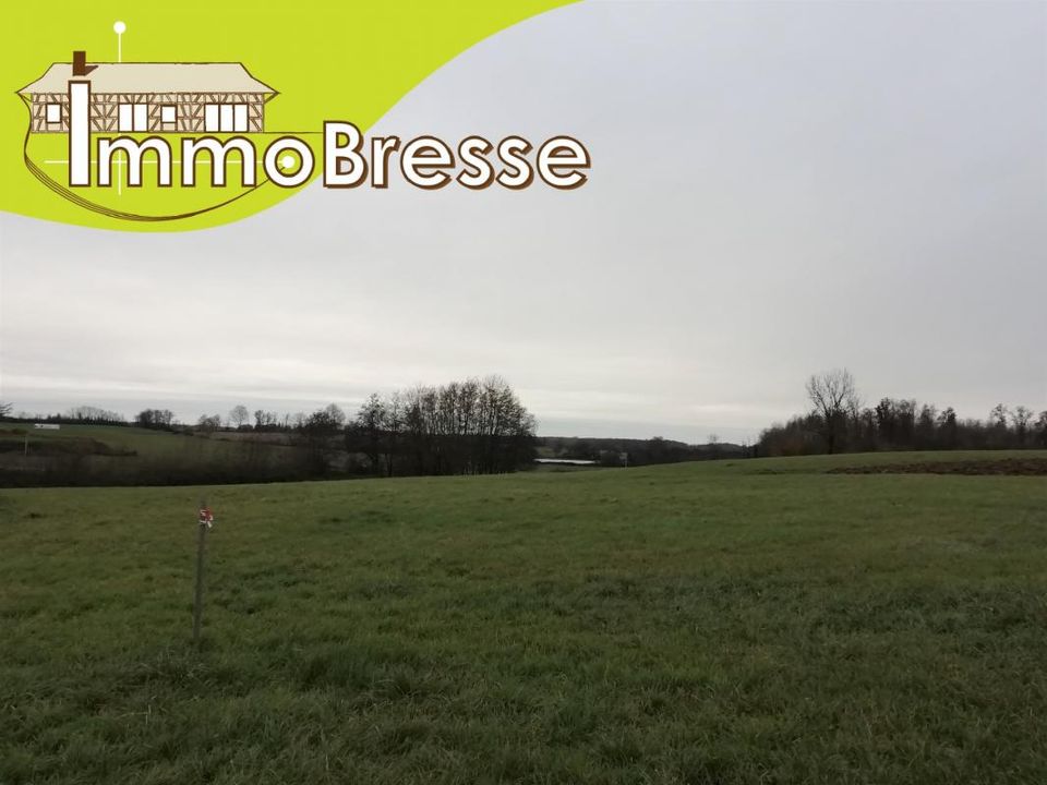 Helårsgrund i Saint-Trivier-De-Courtes, Ain - foto 1