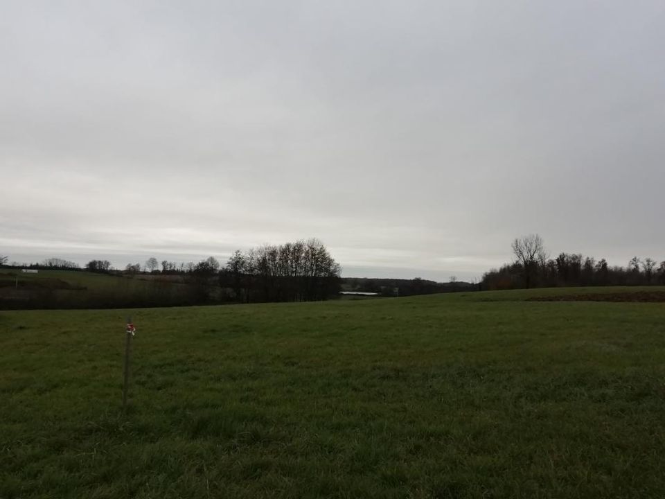 Helårsgrund i Saint-Trivier-De-Courtes, Ain - foto 3
