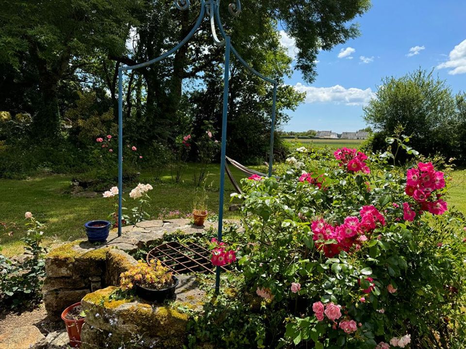 Villa i Baden, Morbihan - bilde 3