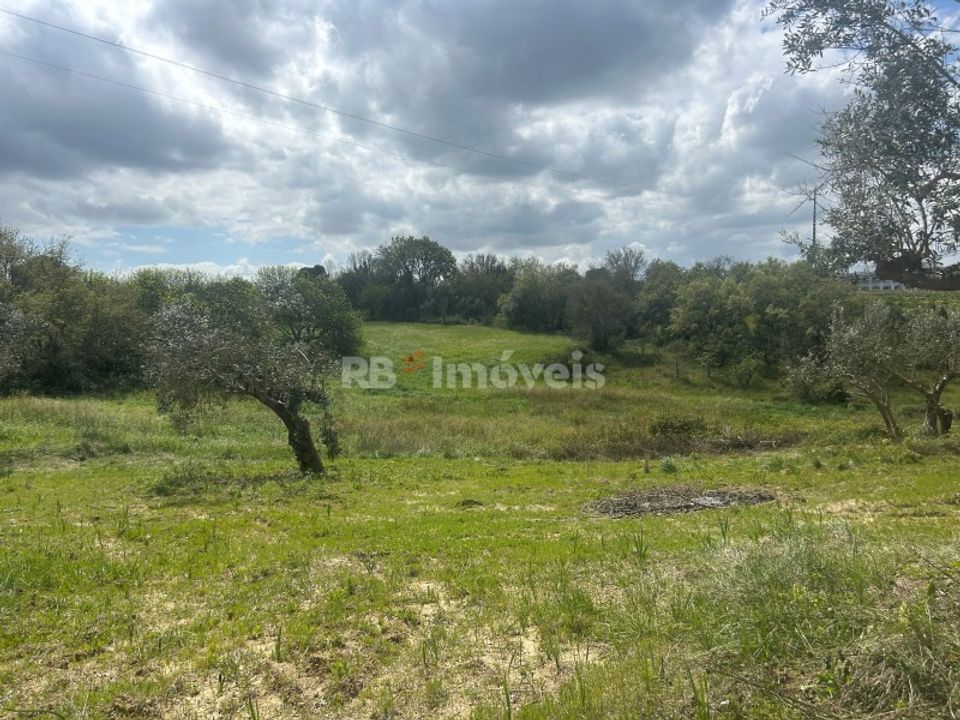 Helårsgrund i Tomar, Santarem - foto 1