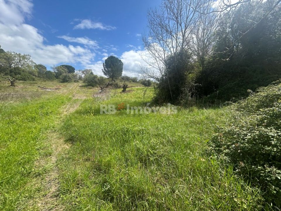 Helårsgrund i Tomar, Santarem - foto 2
