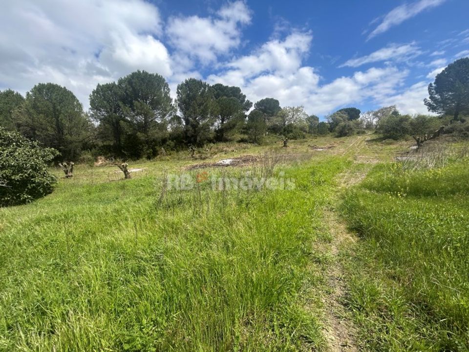 Helårsgrund i Tomar, Santarem - foto 5