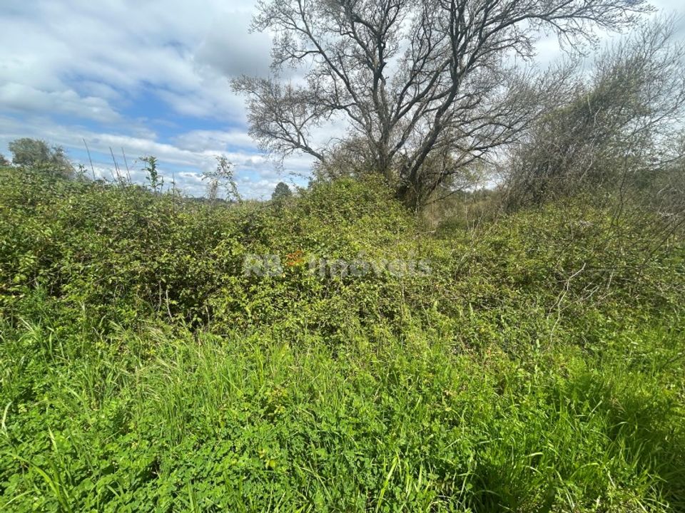 Helårsgrund i Tomar, Santarem - foto 3