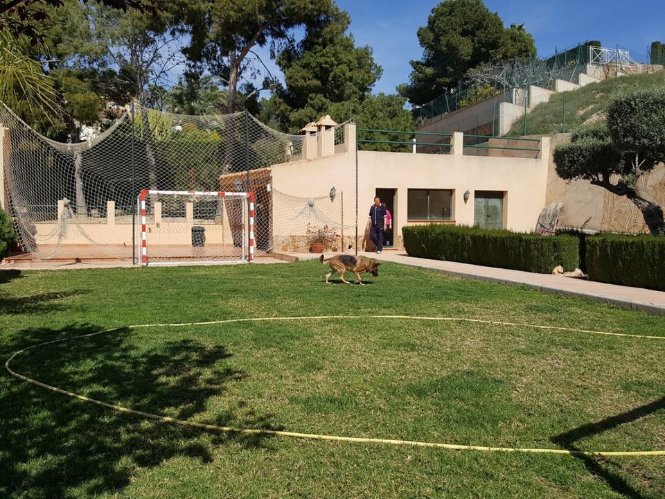 Landejendom i Elche, Alicante - foto 4