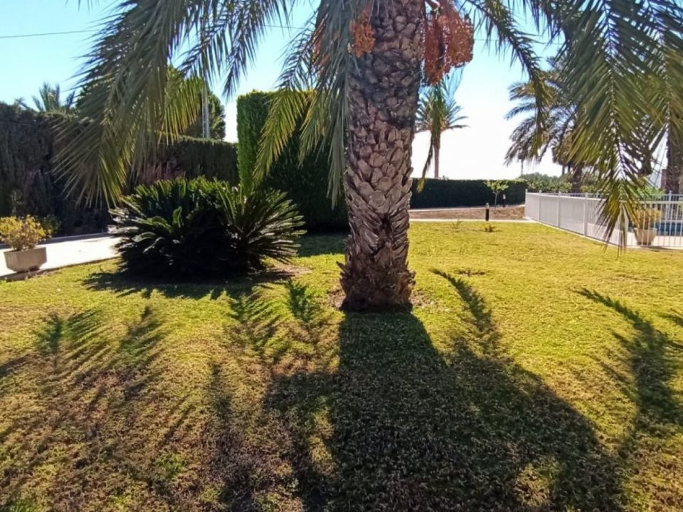 Landejendom i Elche, Alicante - foto 3