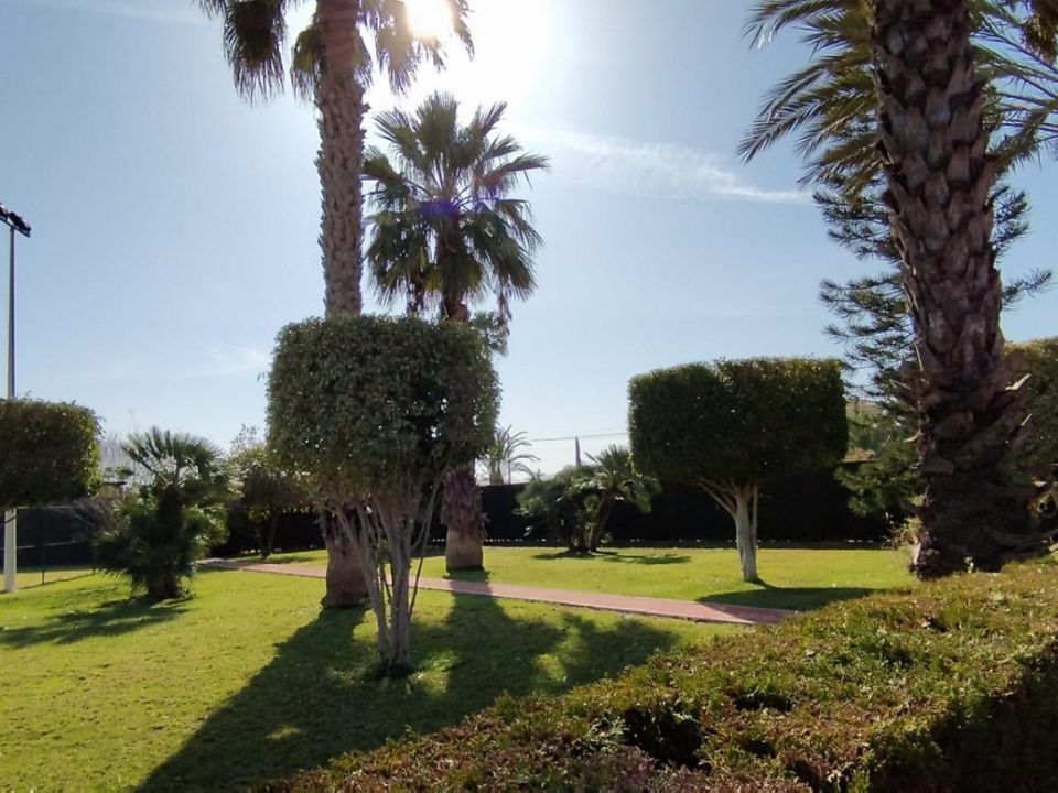 Landejendom i Elche, Alicante - foto 5