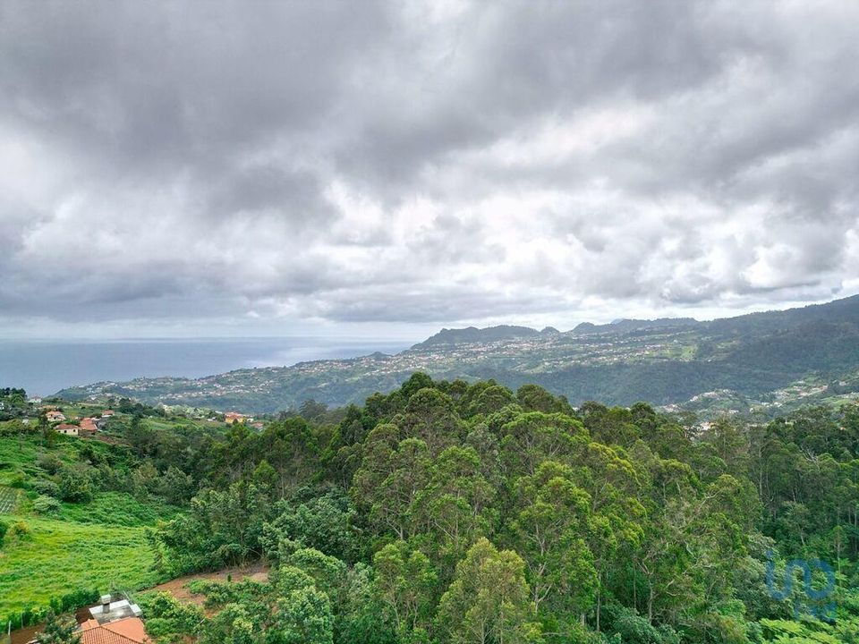 Helårsgrund i Santana, Madeira - foto 3