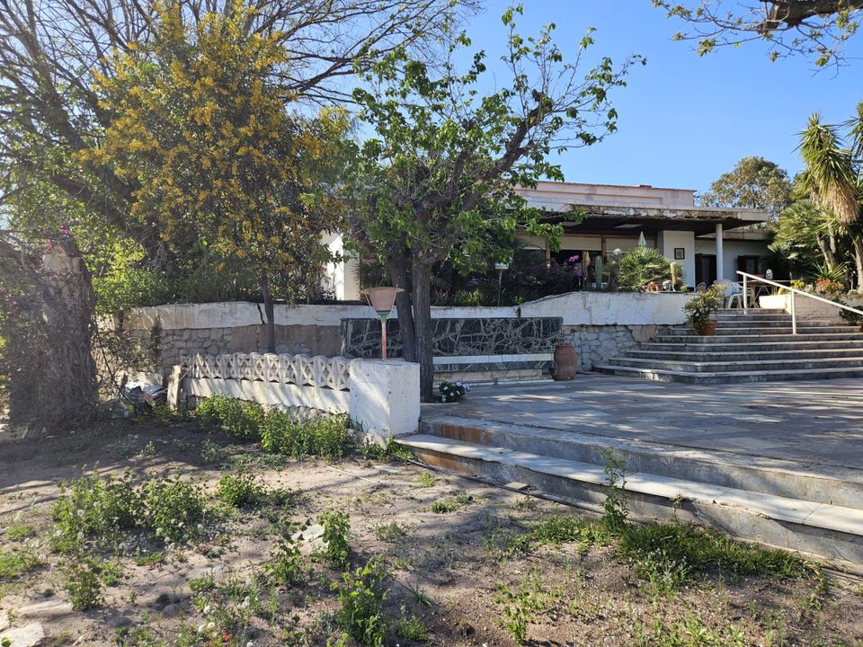 Landejendom i Novelda, Alicante - foto 1