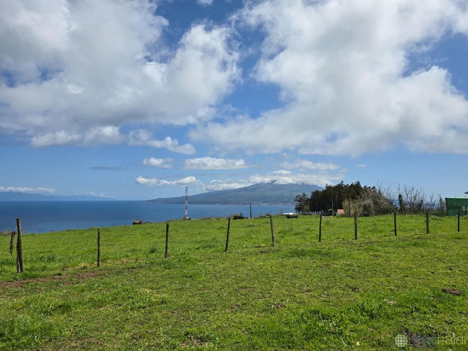 Helårsgrund i Horta, Faial - foto 2