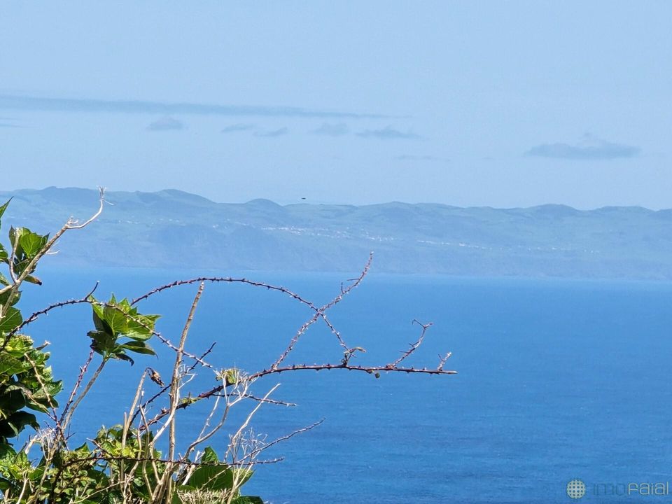 Helårsgrund i Horta, Faial - foto 5