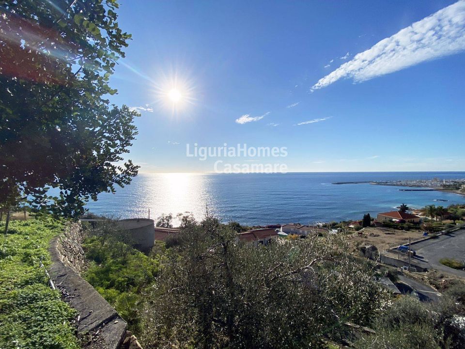 Tomt i Cipressa, Imperia - bilde 1
