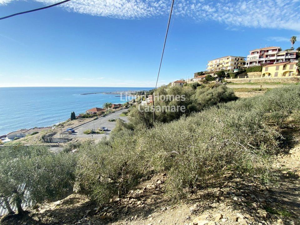 Tomt i Cipressa, Imperia - bilde 5