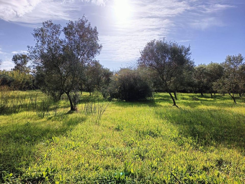 Villa i Nuraminis, Sud Sardegna - foto 2