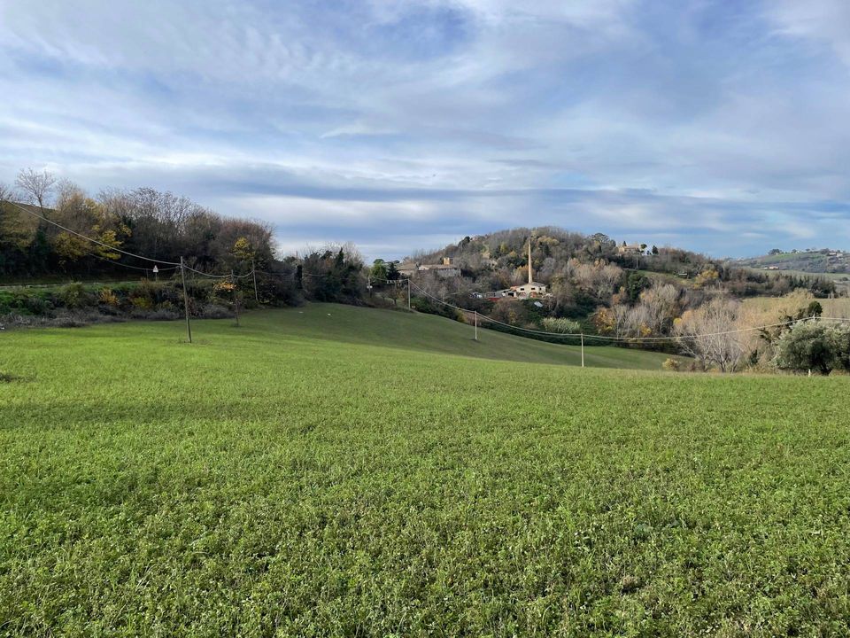 Maison de campagne - Petritoli, Fermo - photo 5