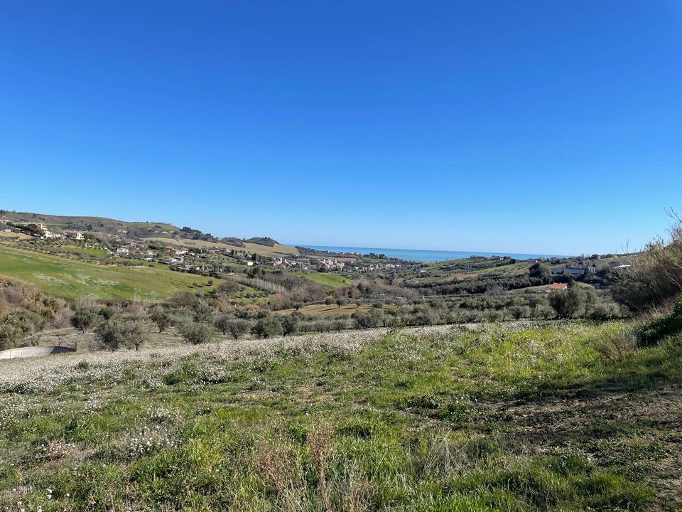 Helårsgrund i Acquaviva Picena, Ascoli Piceno - foto 1