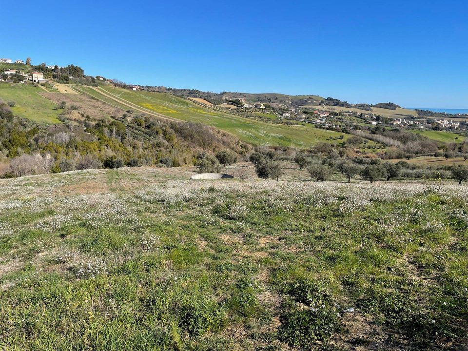 Helårsgrund i Acquaviva Picena, Ascoli Piceno - foto 4