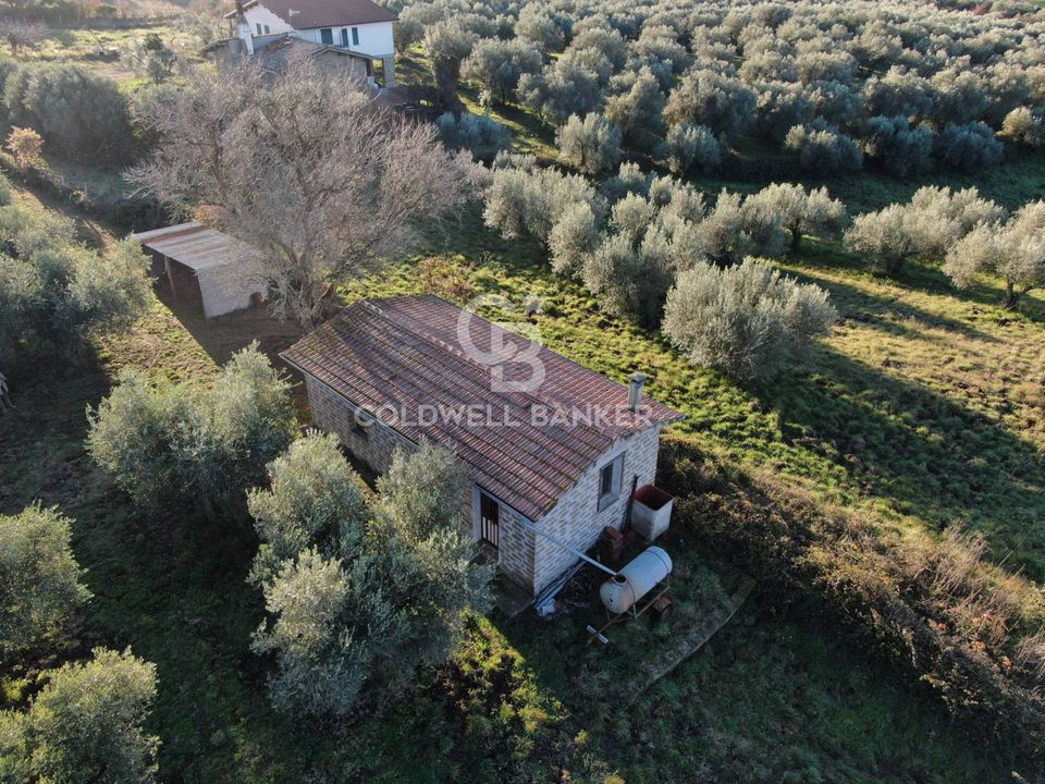 Terreno en Farnese, Viterbo - foto 2