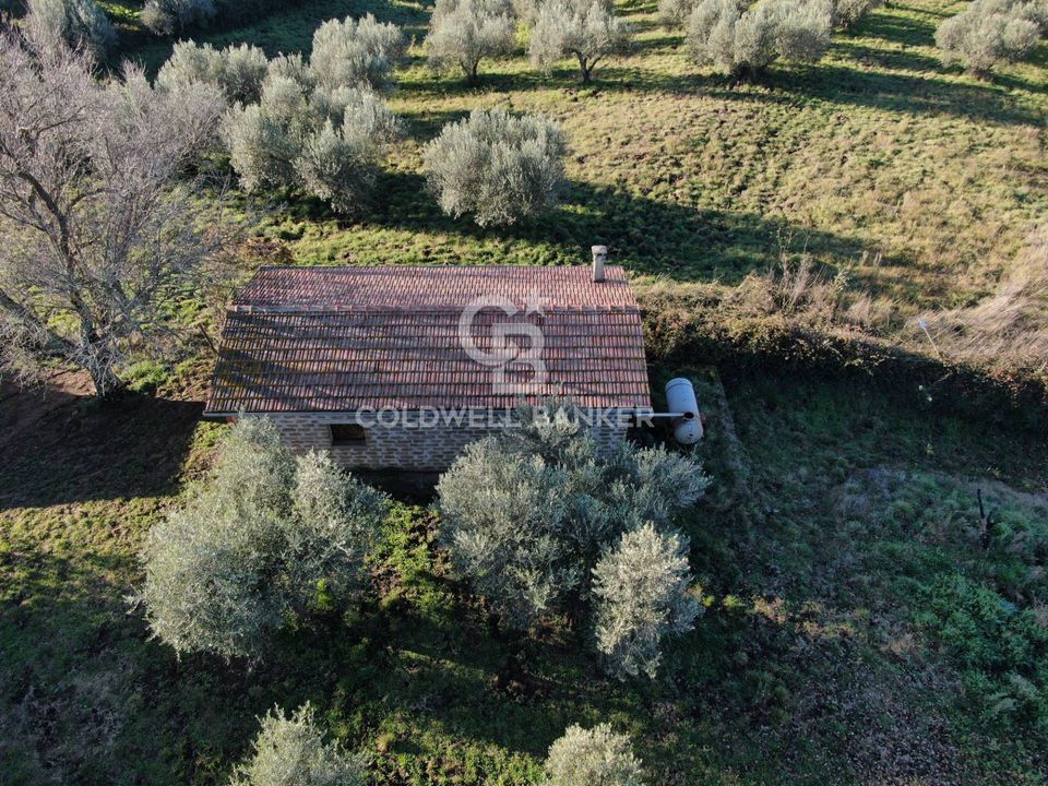 Terreno en Farnese, Viterbo - foto 3
