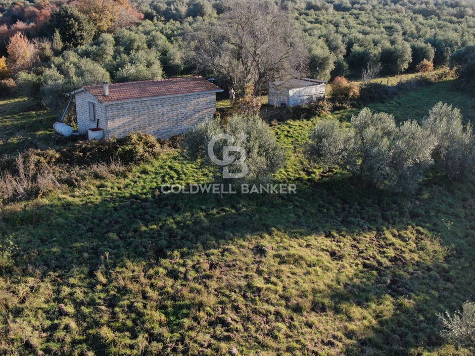 Terreno en Farnese, Viterbo - foto 4