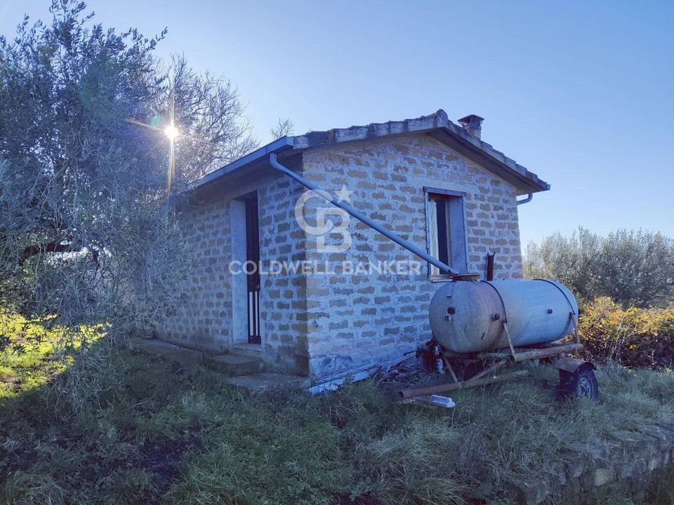 Terreno en Farnese, Viterbo - foto 5