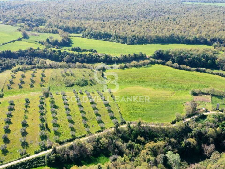Terreno en Ischia di Castro, Viterbo - foto 1