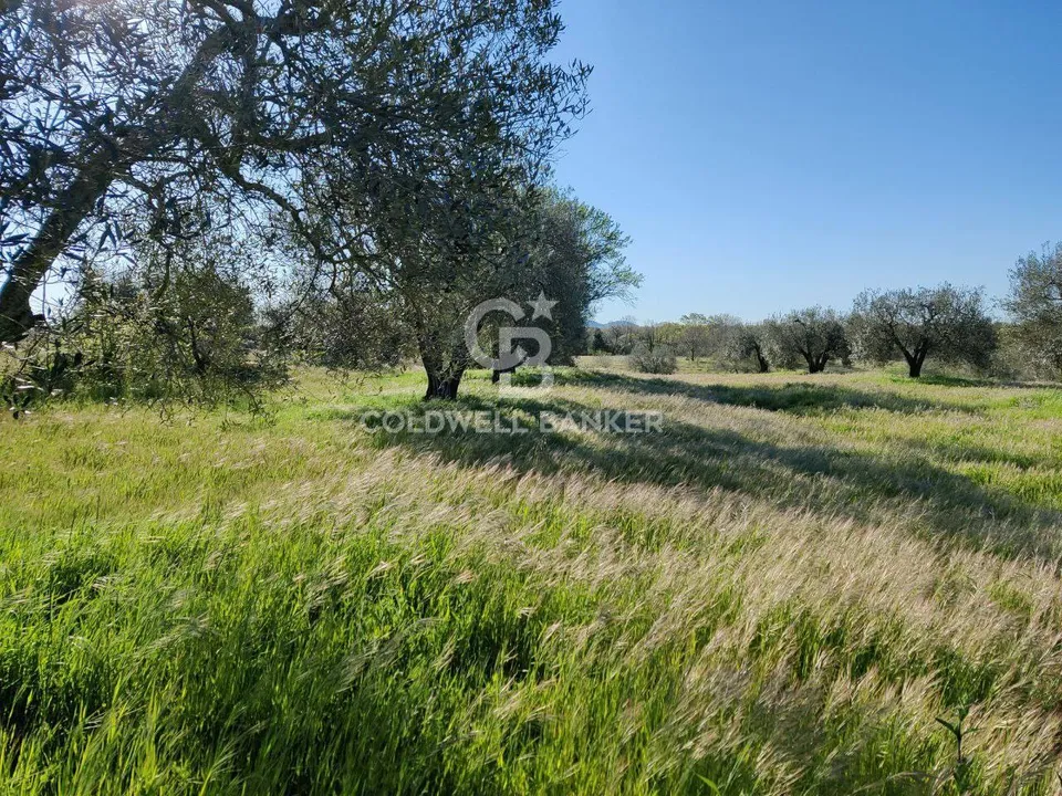 Terreno en Ischia di Castro, Viterbo - foto 2