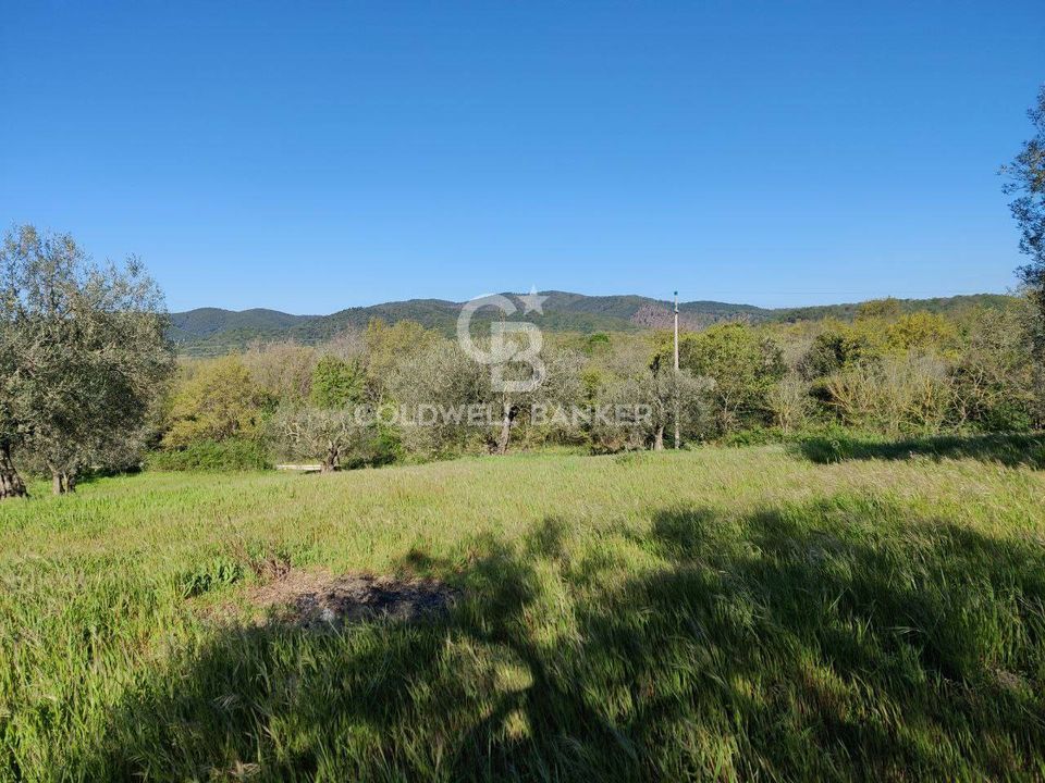 Terreno en Ischia di Castro, Viterbo - foto 3