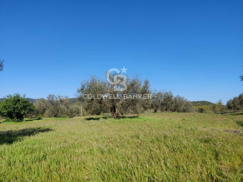 Terreno en Ischia di Castro, Viterbo - foto 5