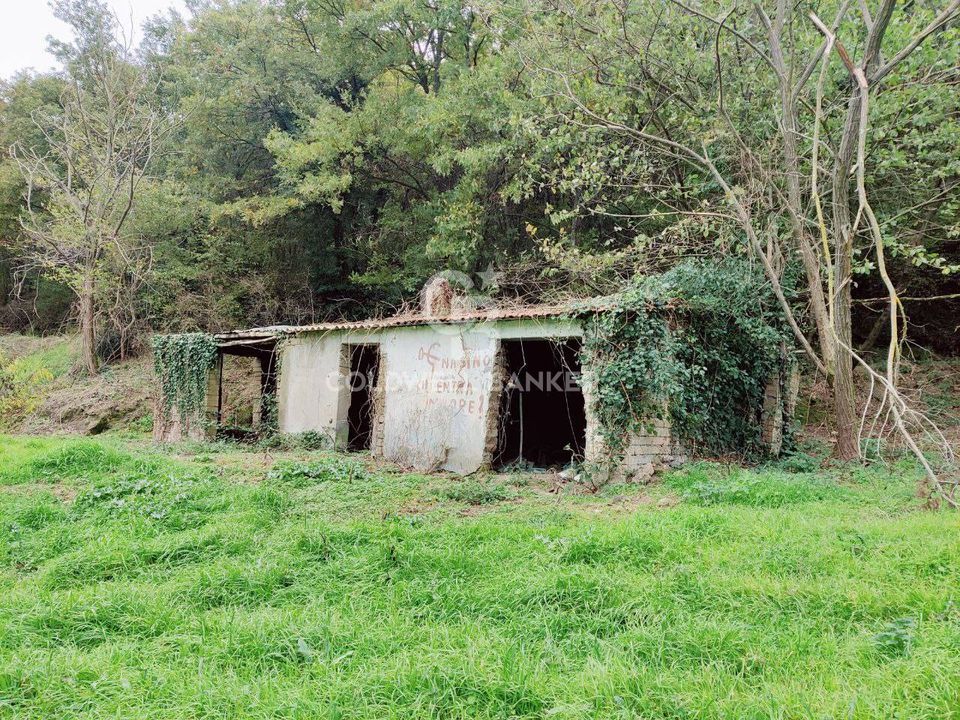 Landejendom i San Lorenzo Nuovo, Viterbo - foto 3