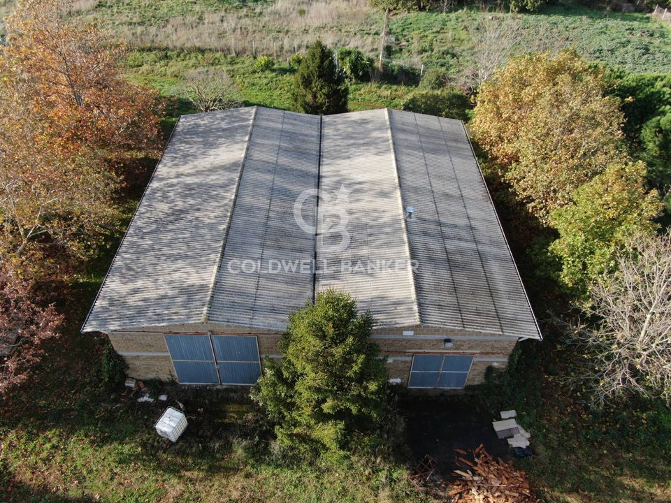 Granja en Cellere, Viterbo - foto 2