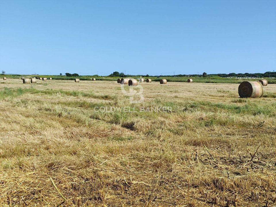 Helårsgrund i Montalto di Castro, Viterbo - foto 2
