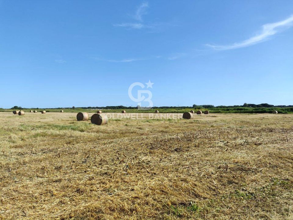 Helårsgrund i Montalto di Castro, Viterbo - foto 3