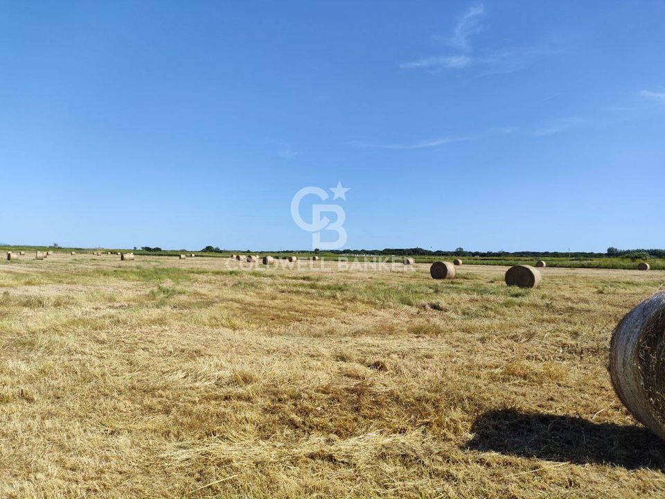 Helårsgrund i Montalto di Castro, Viterbo - foto 4