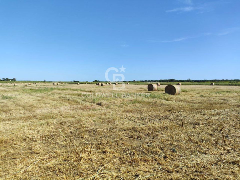 Helårsgrund i Montalto di Castro, Viterbo - foto 5