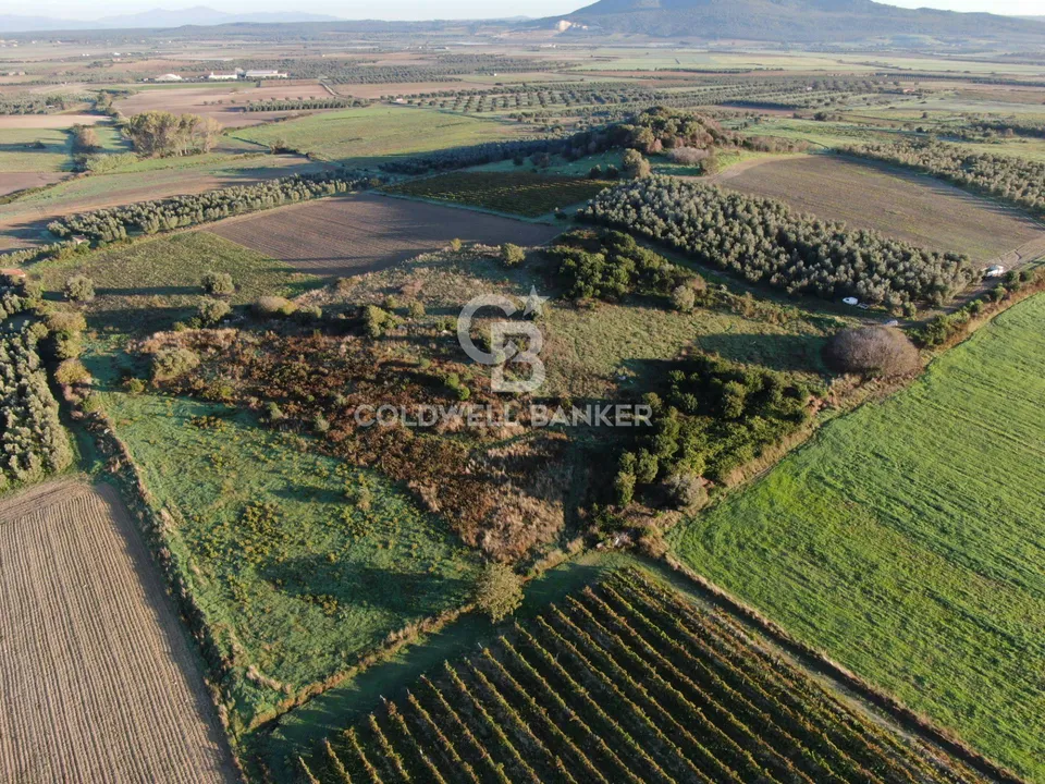Terreno en Canino, Viterbo - foto 1