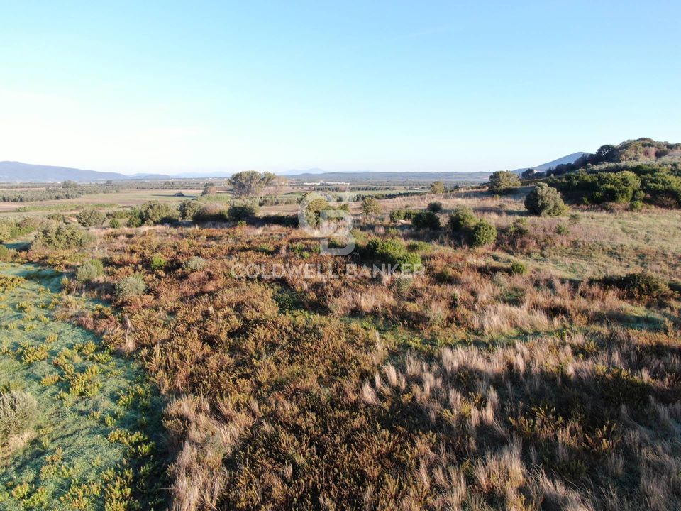 Terreno en Canino, Viterbo - foto 2