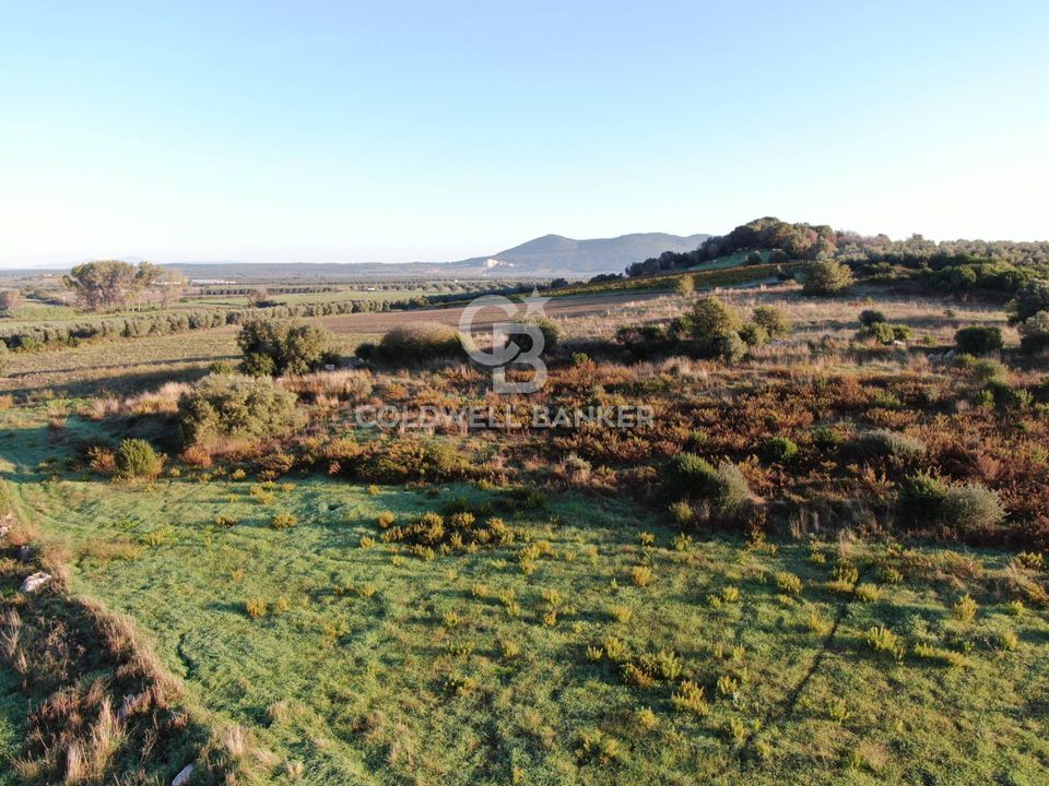 Terreno en Canino, Viterbo - foto 3