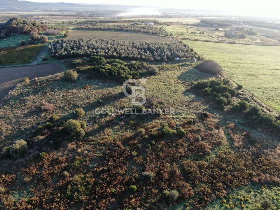 Terreno en Canino, Viterbo - foto 4