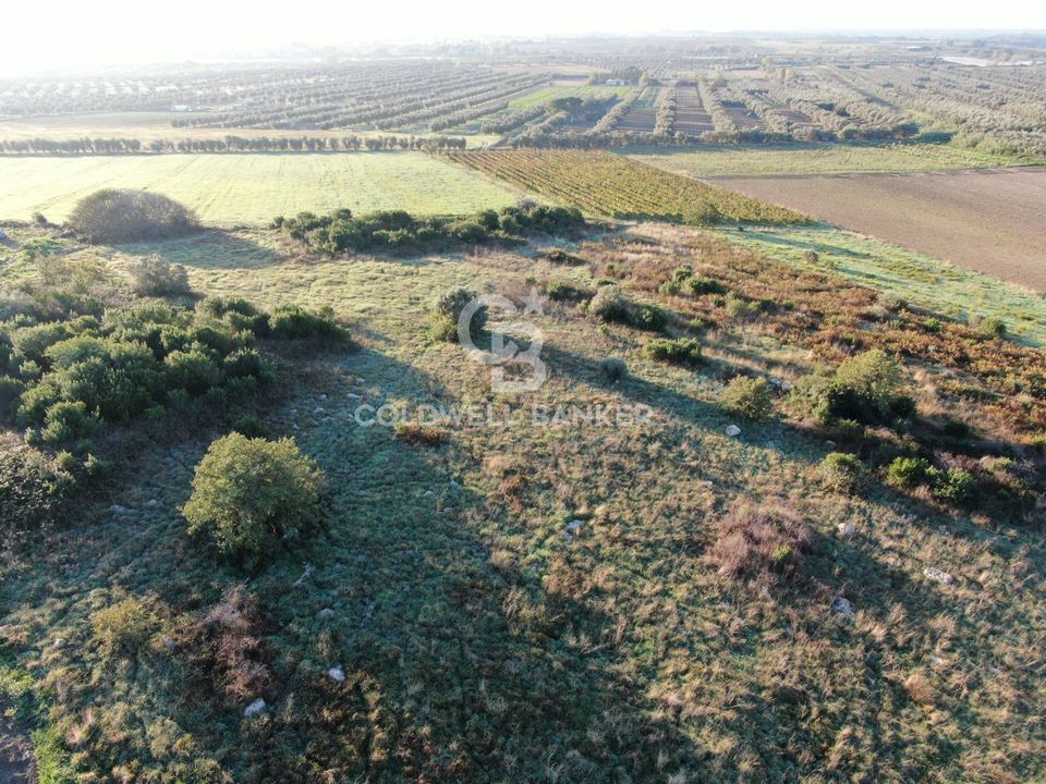 Terreno en Canino, Viterbo - foto 5