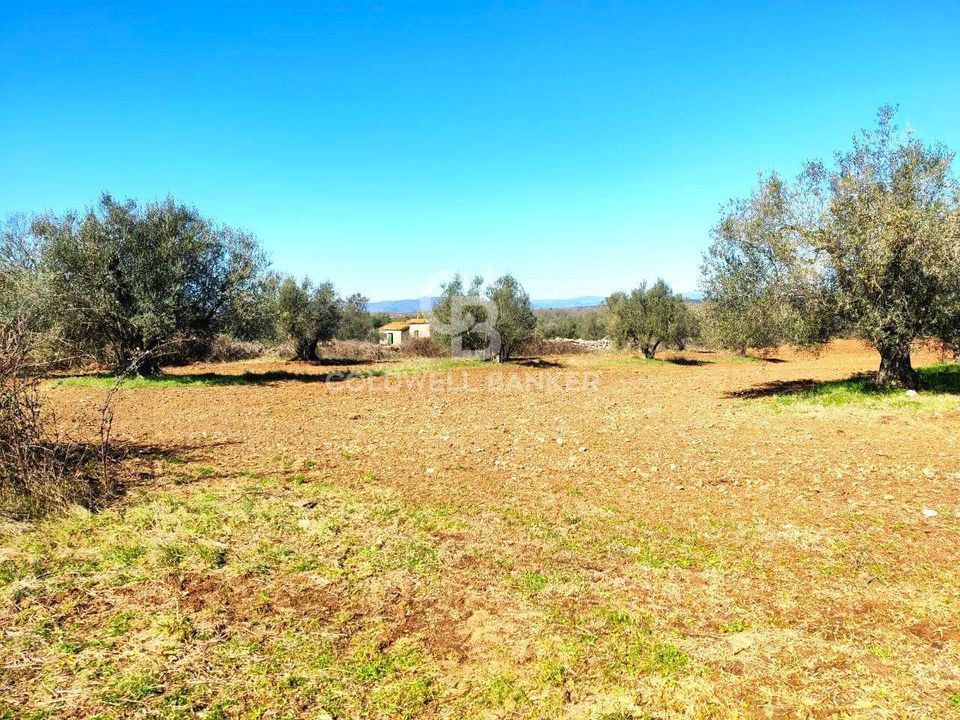 Terreno en Ischia di Castro, Viterbo - foto 1