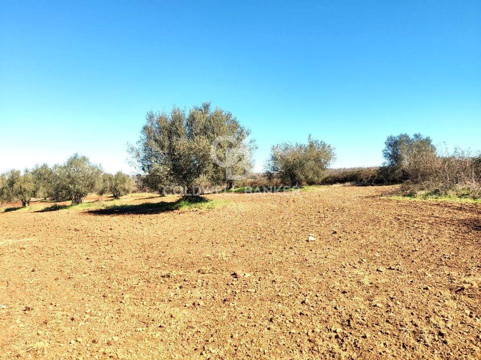 Terreno en Ischia di Castro, Viterbo - foto 2