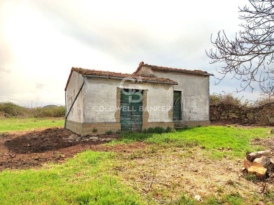 Terreno en Ischia di Castro, Viterbo - foto 5