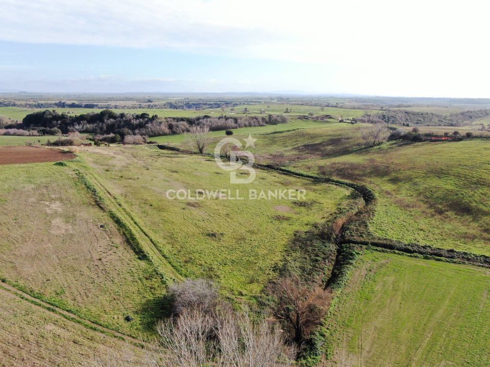 Helårsgrund i Montalto di Castro, Viterbo - foto 1