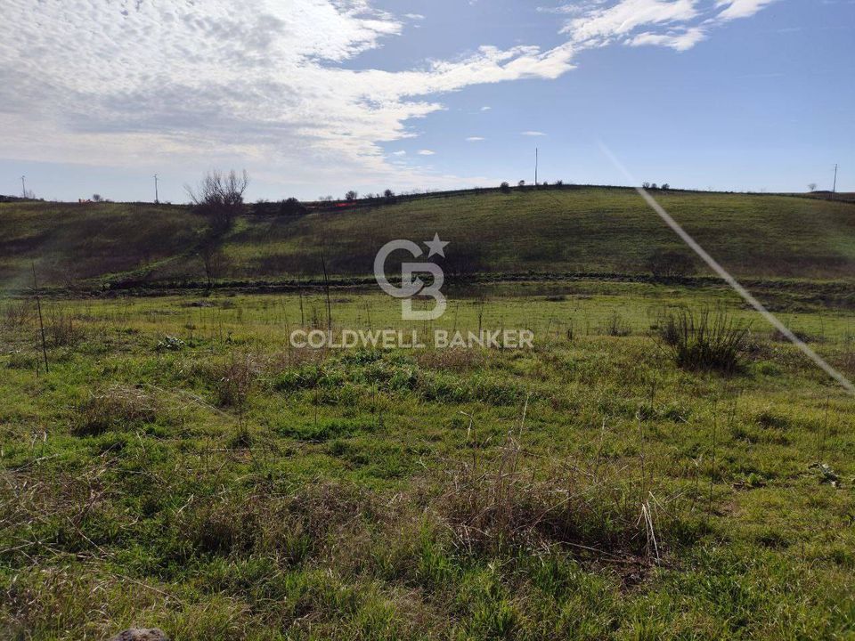 Helårsgrund i Montalto di Castro, Viterbo - foto 4