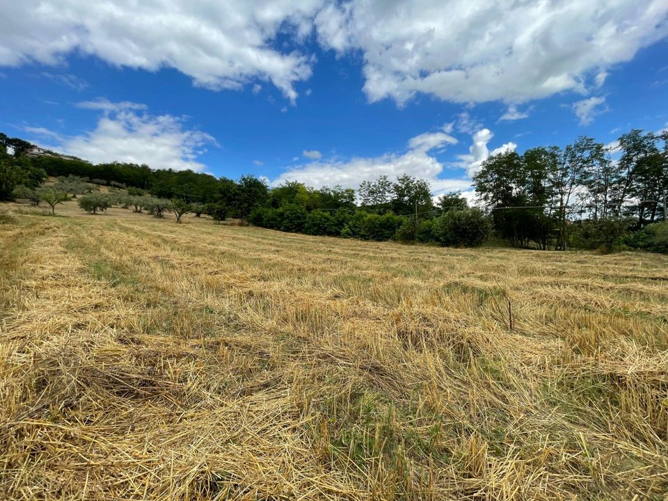 Helårsgrund i Ariano Irpino, Avellino - foto 1
