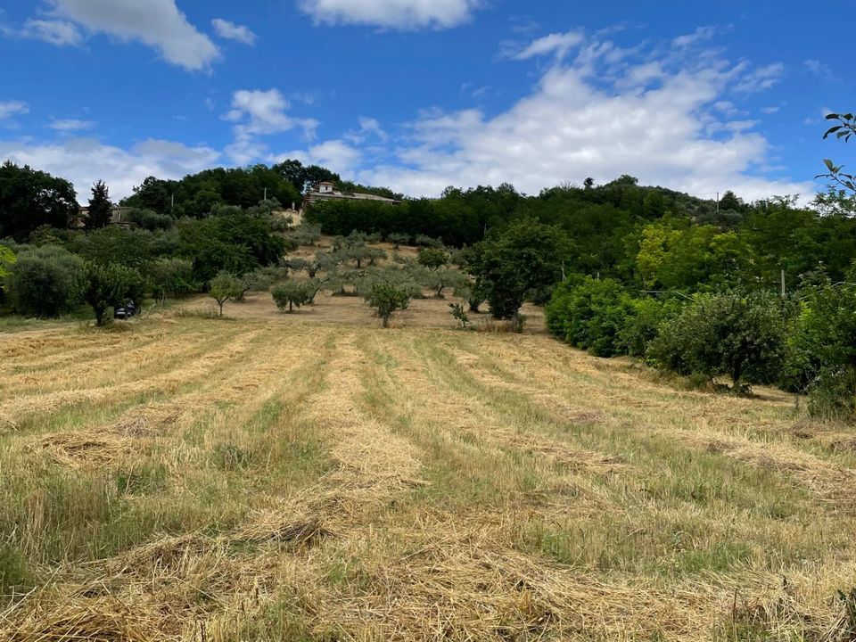 Helårsgrund i Ariano Irpino, Avellino - foto 5